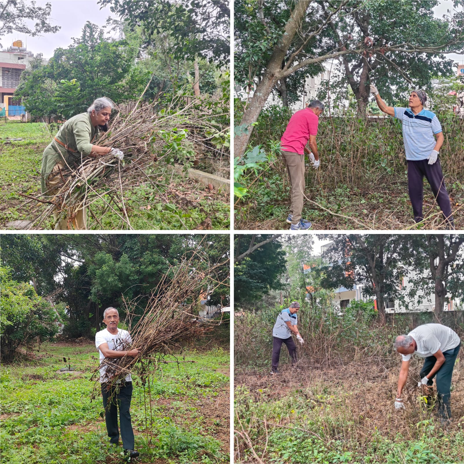 Renovation of Park next to DRC